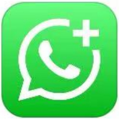 WhatsApp Business